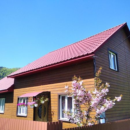 Відпочинок У Карпатах, Мінеральні Ванни, Банний Чан! Guest House Verkhnyaya Bystra Ngoại thất bức ảnh