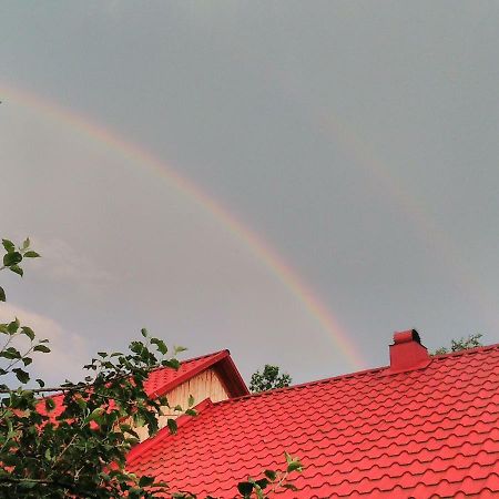Відпочинок У Карпатах, Мінеральні Ванни, Банний Чан! Guest House Verkhnyaya Bystra Ngoại thất bức ảnh