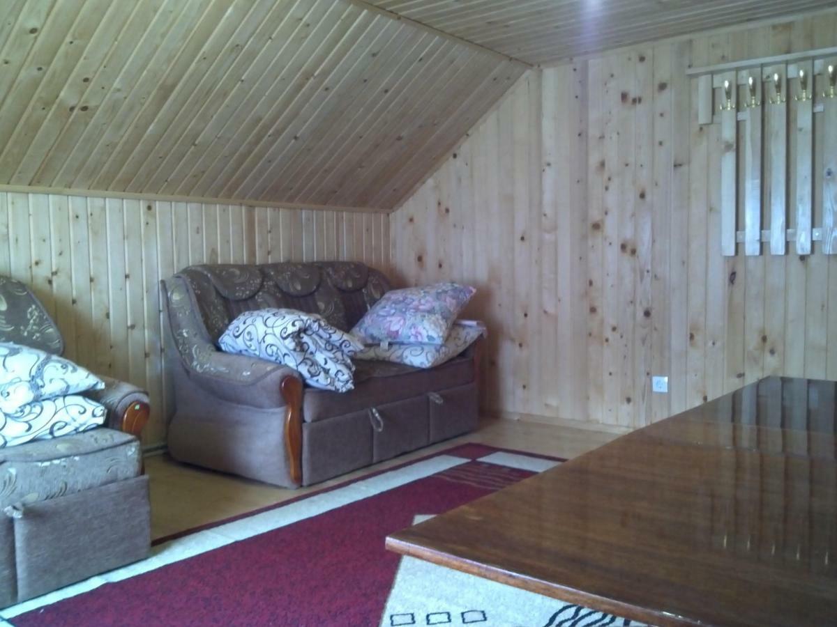 Відпочинок У Карпатах, Мінеральні Ванни, Банний Чан! Guest House Verkhnyaya Bystra Ngoại thất bức ảnh
