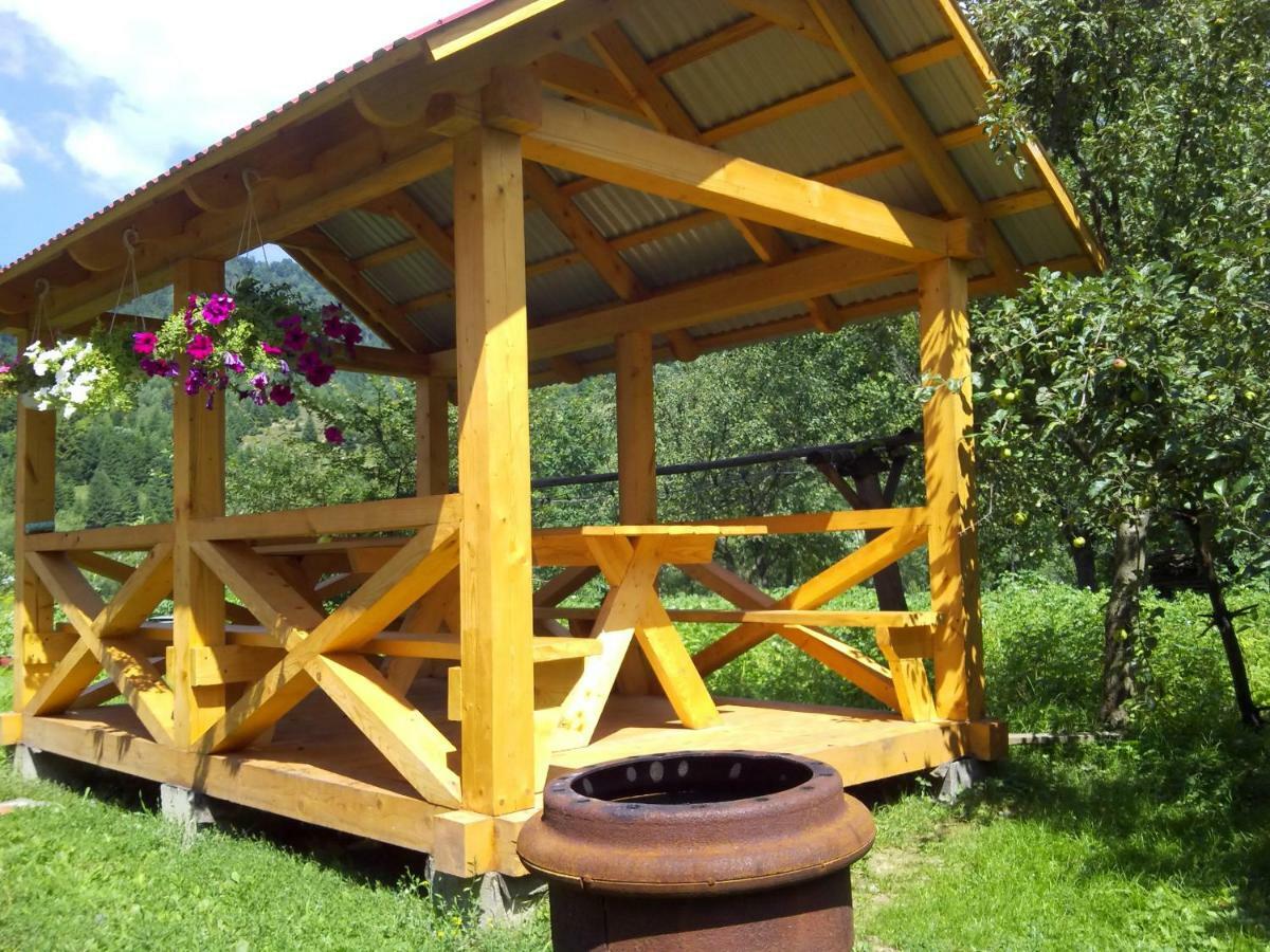 Відпочинок У Карпатах, Мінеральні Ванни, Банний Чан! Guest House Verkhnyaya Bystra Ngoại thất bức ảnh