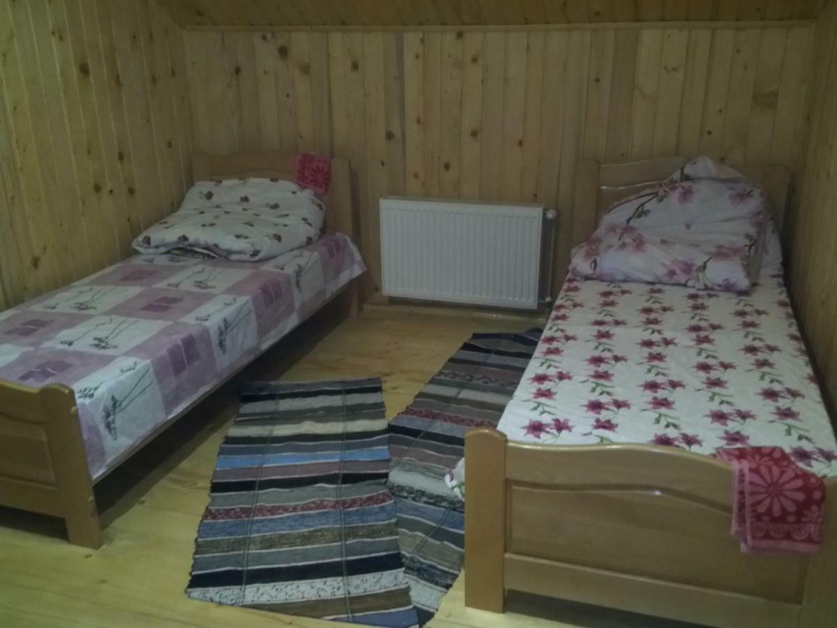 Відпочинок У Карпатах, Мінеральні Ванни, Банний Чан! Guest House Verkhnyaya Bystra Ngoại thất bức ảnh